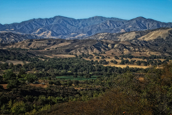 paradise road