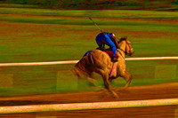 blurry gray horse se