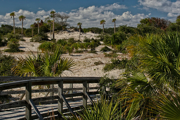 dune walkway