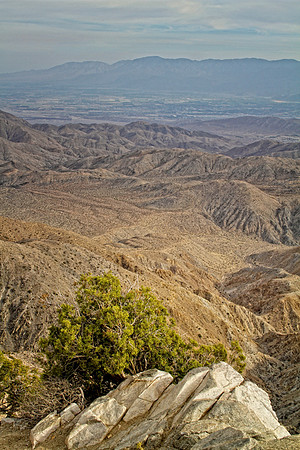 lookout view