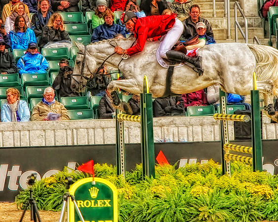 white horse over green and yellow poles