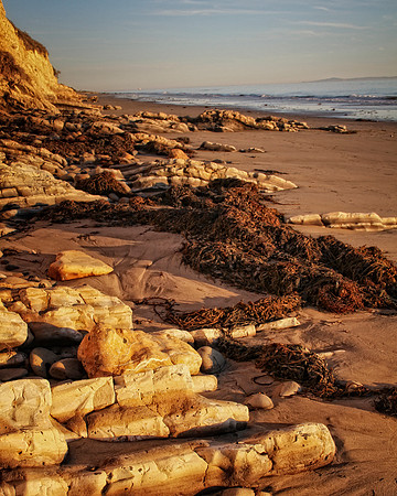 rocks and seaweed on beach