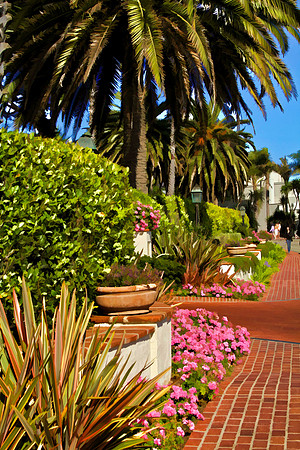 sidewalk near Biltmore se