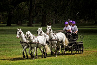 team of four