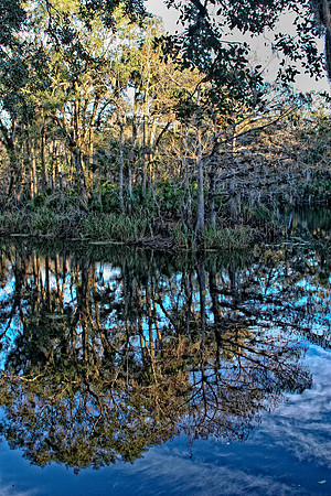 haw creek reflection
