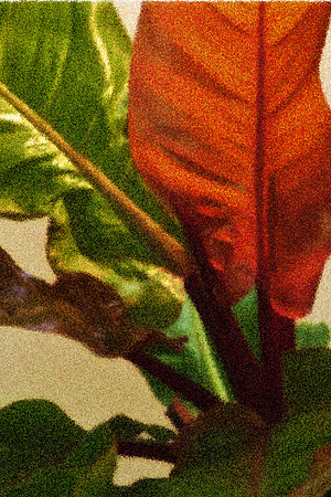 red philodendron se painting_Painting