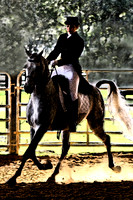 saddle horse gray with filter