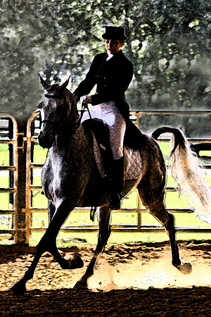 saddle horse gray with filter