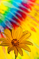 mex sunflower tie dye se