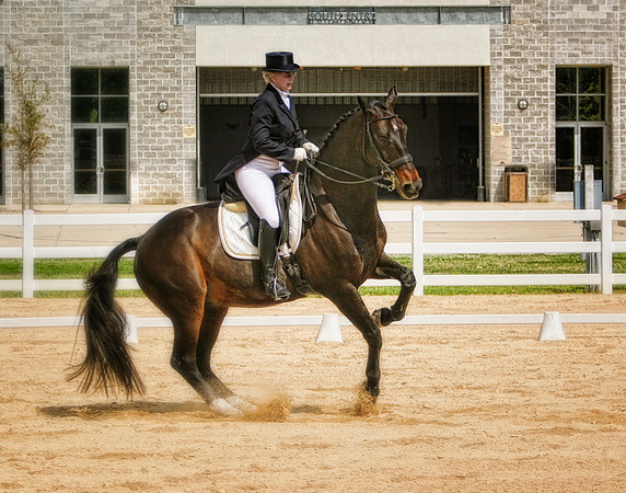 dressage digital art