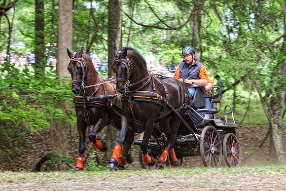 team with bay horses and orange accents (1)