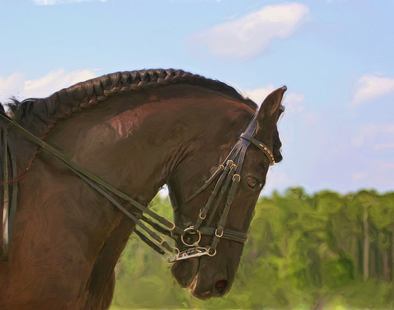 dressage digital art
