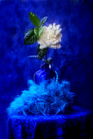 gardenia with blue vase se
