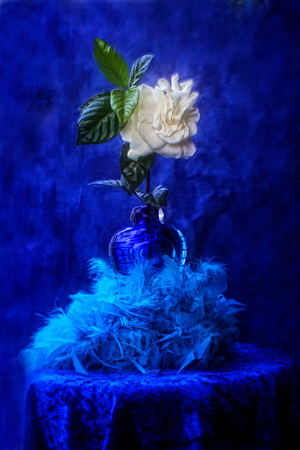 gardenia with blue vase se