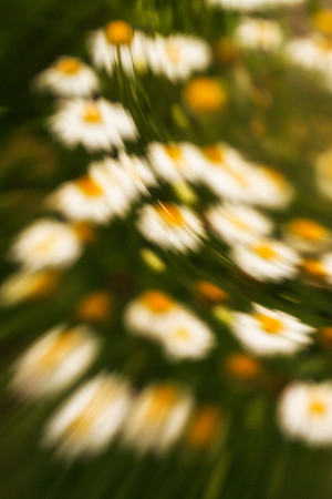 019