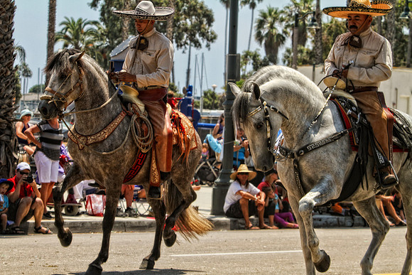 horse photography