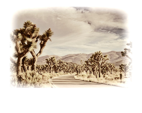 joshua tree road se cropped