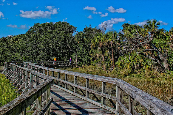 marsh boardwalk se