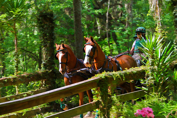 pair of horses on bridge se