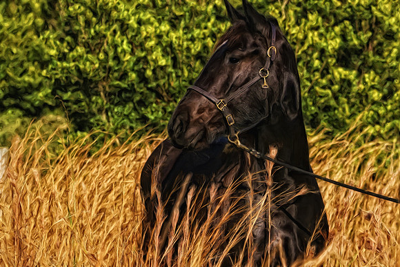 aerial in grass 2 with glow_Painting