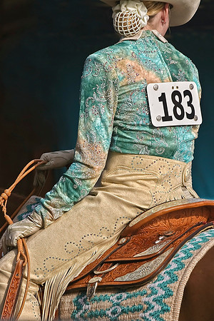 horse photography