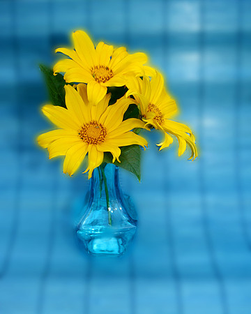 3 daisies