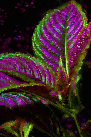 strobe plant se_Painting