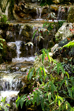 waterfall (1)
