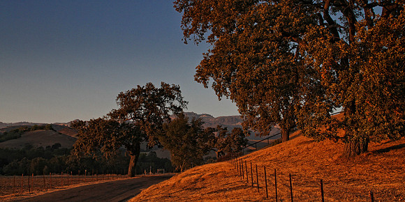 happy canyon road sunset