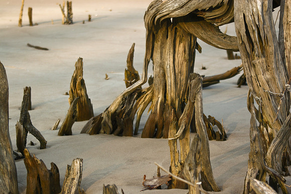 stumps horizontal