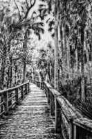 walkway b and w se lightened