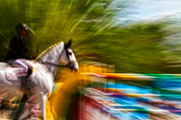 white horse with colorful jump se