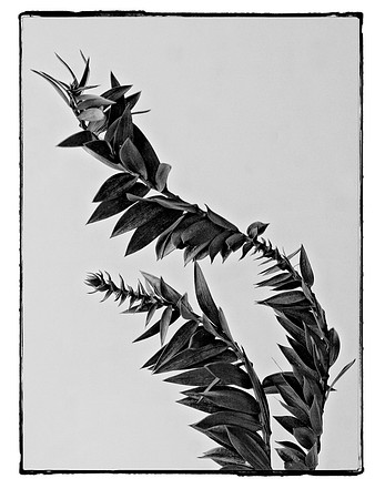 042