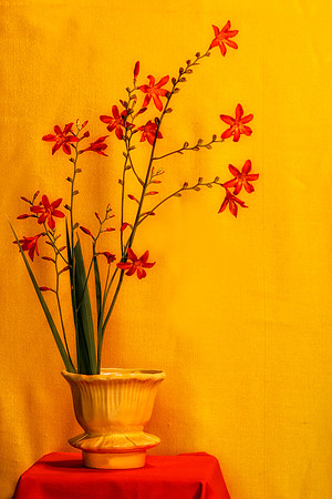061