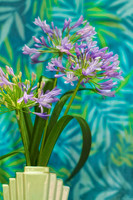agapanthus with tropical background se