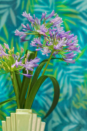 agapanthus with tropical background se