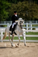 dressage digital art
