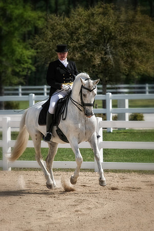 dressage digital art