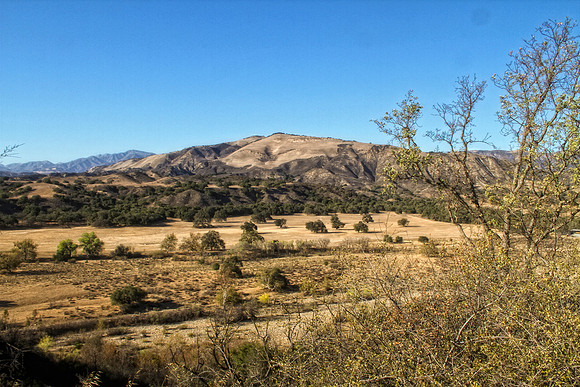 paradise road view