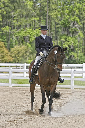 dressage digital art