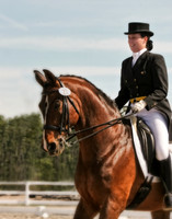 dressage digital art