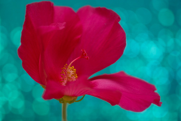 065