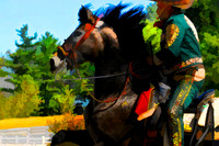cowboy with andulusian se