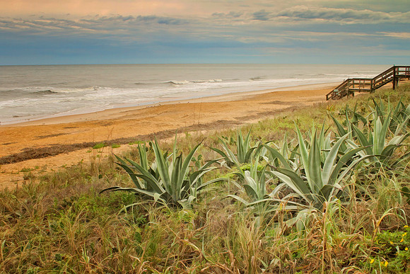 flagler beach se