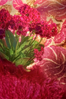 pink kalanchoe cropped se