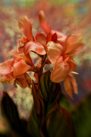 064