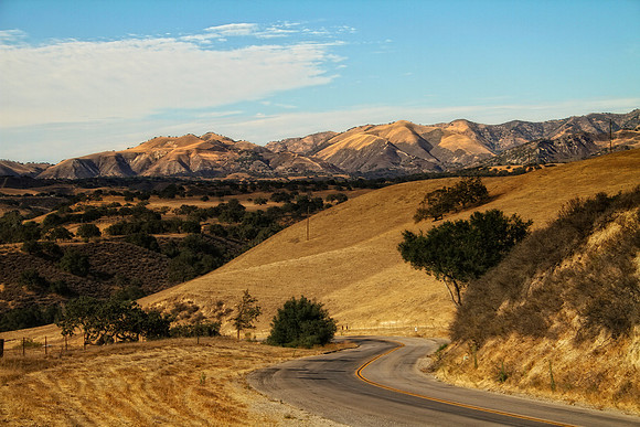 vineyard road