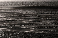 shoreline