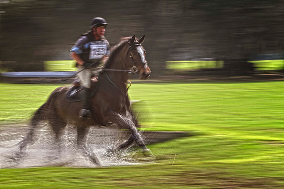 horse coming out of water se