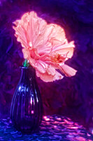pink hibiscus with purple vase se